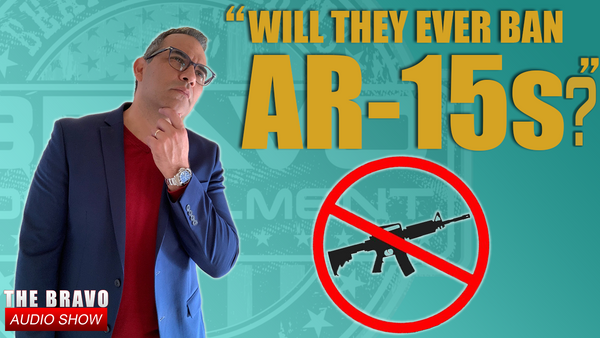 Will They Ban AR-15s?