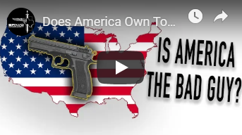 Does America Own Too Many Guns?