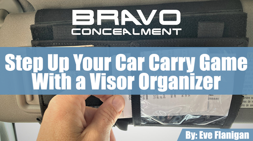 Car Carry Visor Organizer